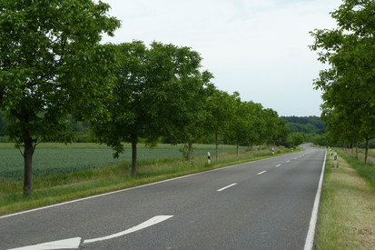 Landstraße mit Grünfläche